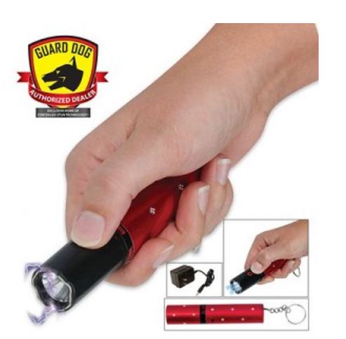 stun gun