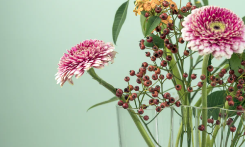 5 EXOTIC FLOWERS FOR YOUR LOVED ONES