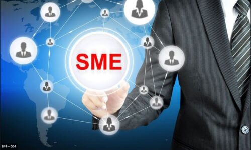 How did the Credit Guarantee Scheme Impact the SME Sector